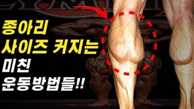 종아리 강화 운동 방법, 종아리 비복근, 가자미근 강화 운동법, 종아리 근육 만드는 방법 정보