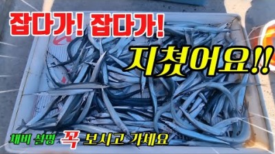 부산 가덕도 갯바위 낚시 할만한 곳, 가덕도 학꽁치 낚시 미끼 및 채비 조황 정보