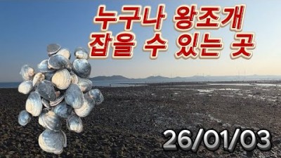서해안 개조개 해루질 할만한 곳, 태안 길마섬 개조개 해루질 갈만한 곳 추천
